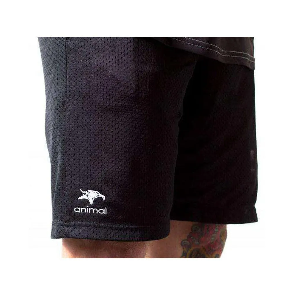 Animal Champion Shorts