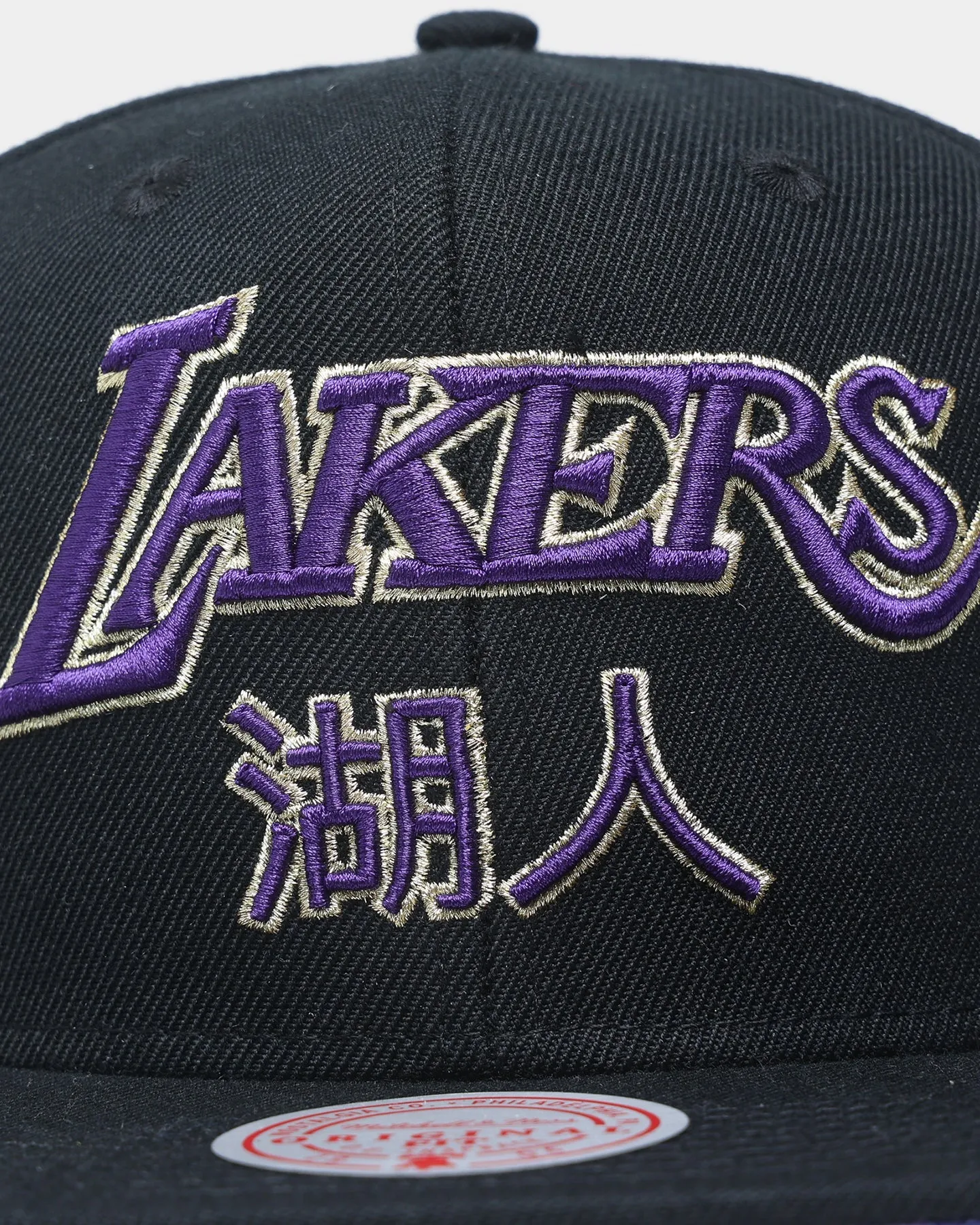 Mitchell & Ness Los Angeles Lakers Water Tiger HWC Snapback Black