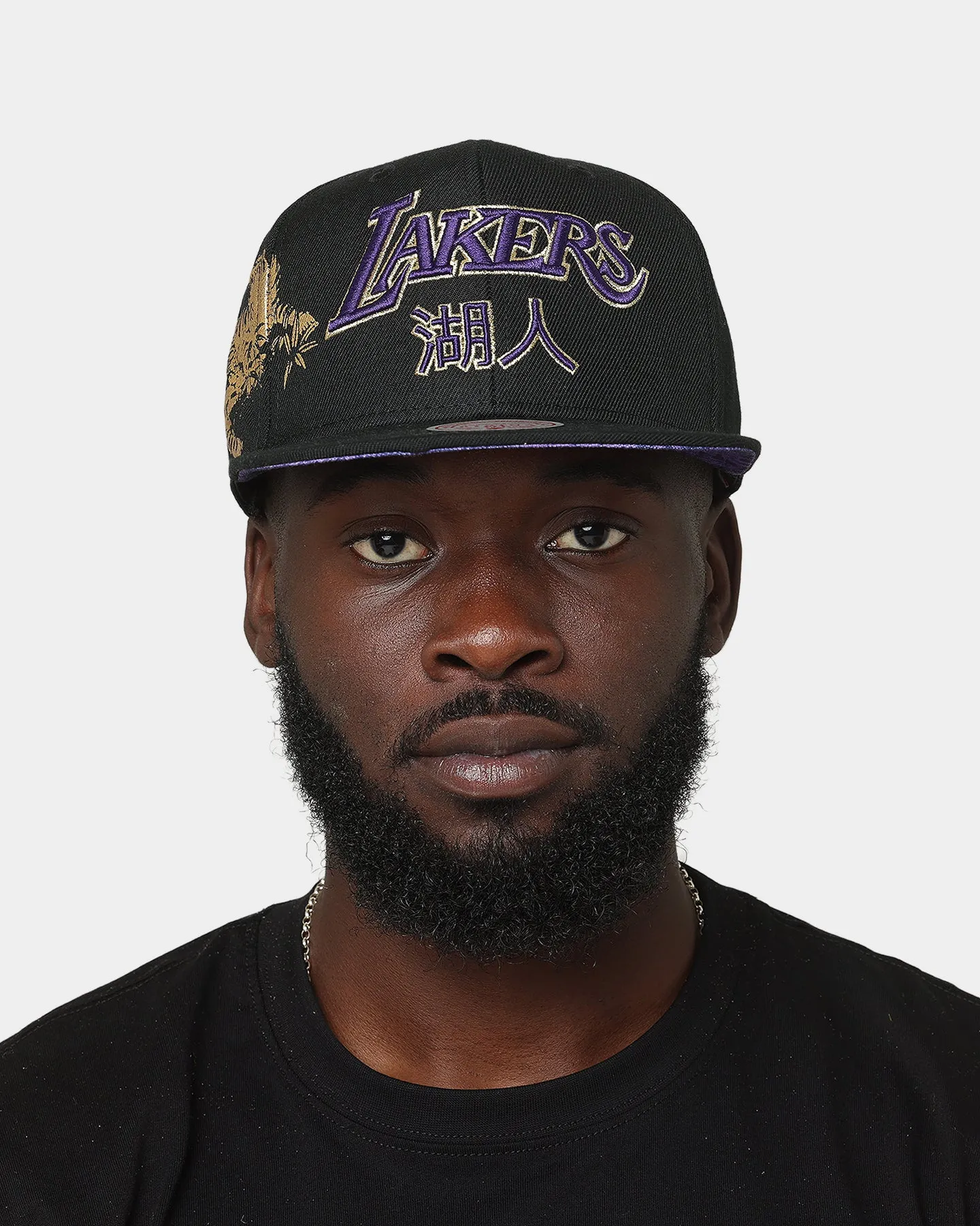 Mitchell & Ness Los Angeles Lakers Water Tiger HWC Snapback Black